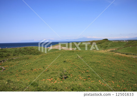 Hokkaido, early summer 12501633