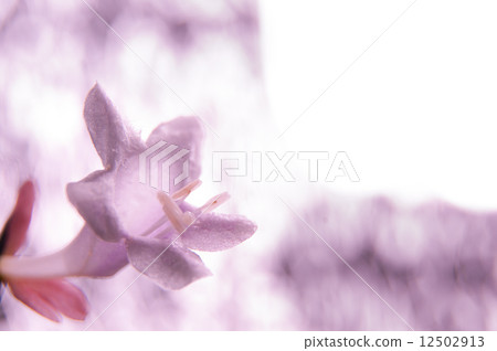 Averia 12502913