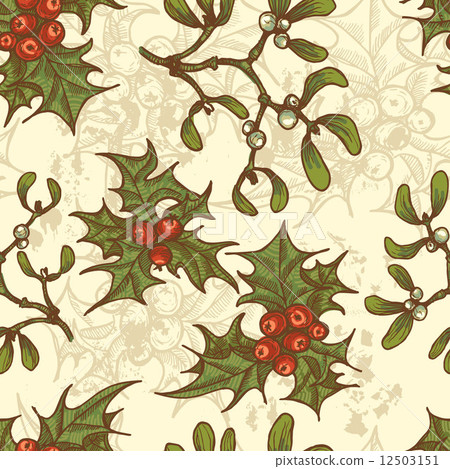 Hand drawn  holly twigs and mistletoe seamless pattern 12503151