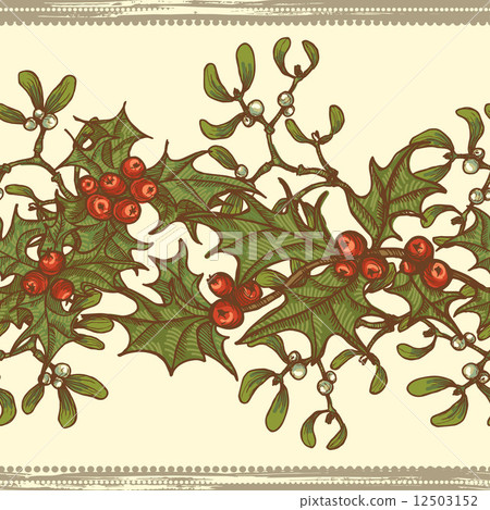 Hand drawn  holly twigs and mistletoe seamless border 12503152