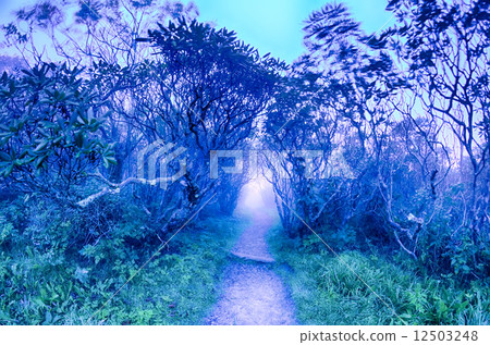 Craggy Gardens North Carolina Blue Ridge Parkway Autumn NC sceni 12503248