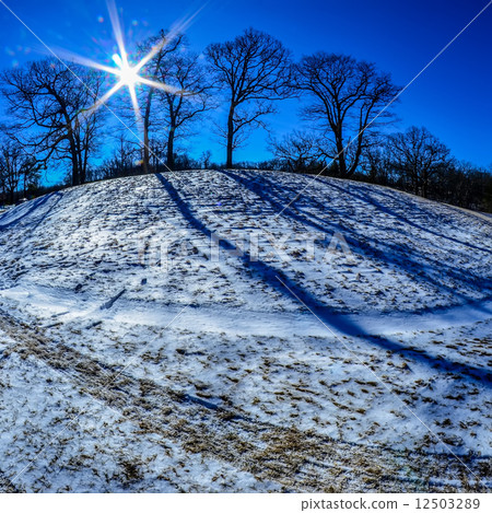 winter scinery in the mountains 12503289