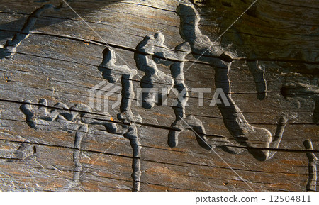 Wood texture 12504811