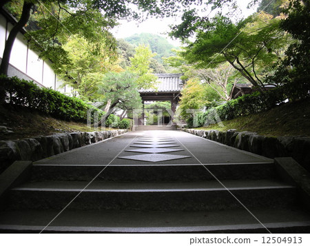 Matsutoshinin Takamuan 12504913