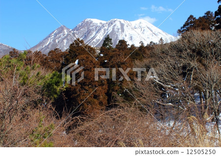 Mt. Minamata在冬天 12505250