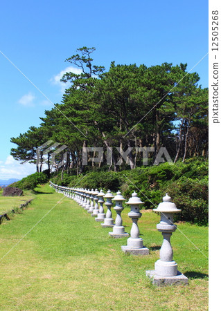 Hanase Nozomi Park Stone lantern and pine forest 12505268