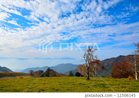 藍天和秋葉在大農場 藍天和秋葉在大農場 12506145