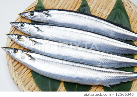 Hokkaido Produce Sansan 12506346