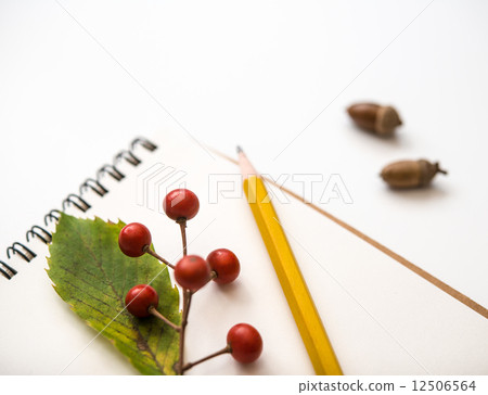 Sketch art fall autumn acorn Pencil Iin Kiri 12506564