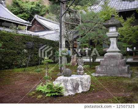 Matsutoshinin Takamuan 12507325