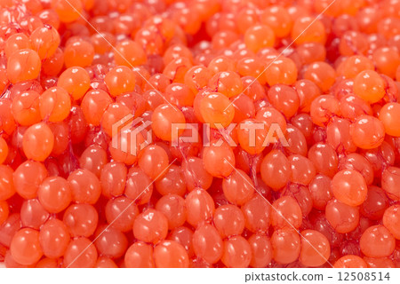 Muscle child 12508514