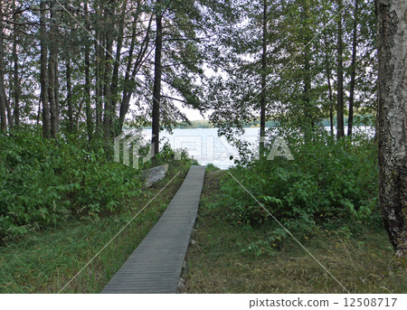 Finnish lake 12508717