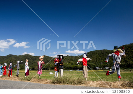 A scarecrow 12508860