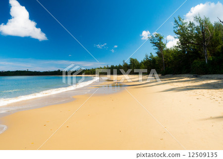 Tsukikehama Tsukikehama 12509135