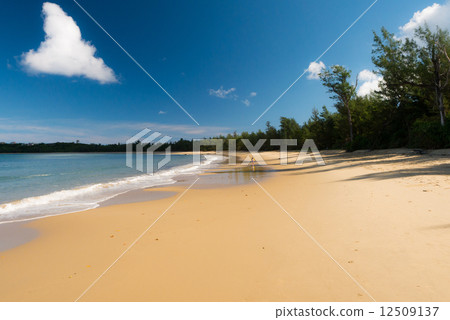 Tsukigahama 12509137