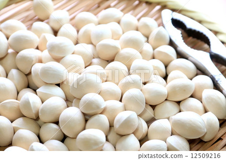 Ginkgo and Ginkgo Stripper Ginkgo and Ginkgo Stripper 12509216