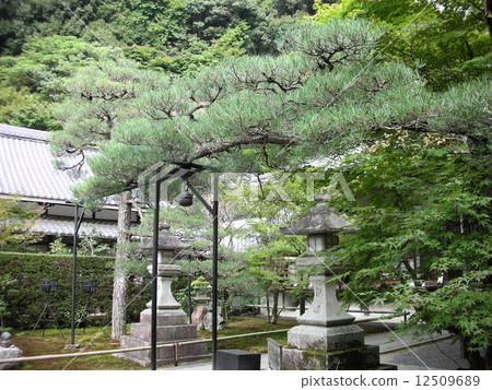 Matsutoshinin Takamuan 12509689