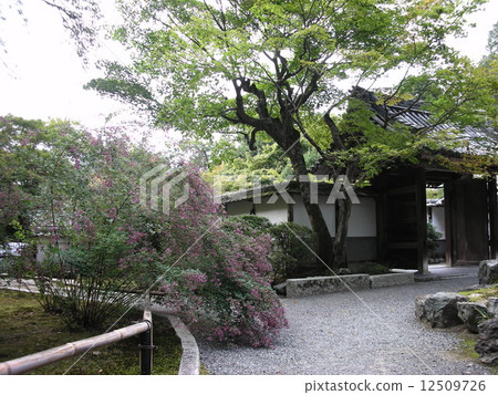 Matsutoshinin Takamuan 12509726