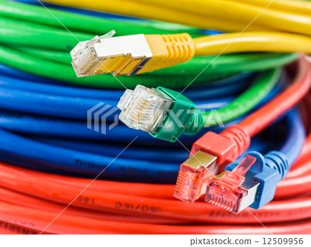 Network cable Network cable 12509956