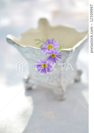 Brakkam Brakkam 12509997