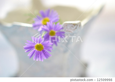 Brakkam Brakkam 12509998
