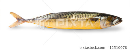 The Smoked Mackerel 12510078