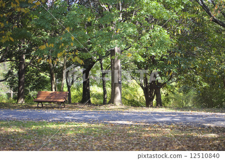 park park 12510840