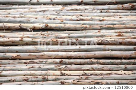 eucalyptus log eucalyptus log 12510860