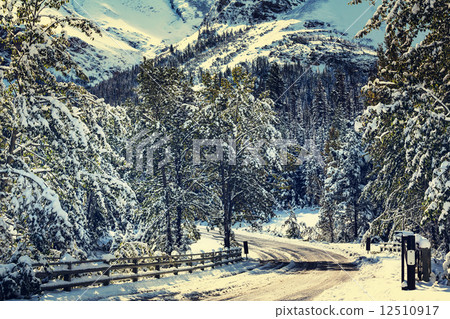 Winter road 12510917