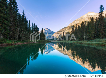 Glacier Park 12510951