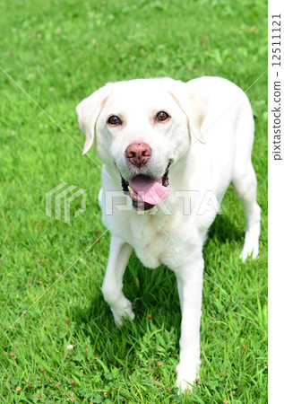 I'm still fine 12511121