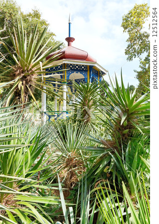 plants and pavilion in Nikitsky Botanical Garden 12512564