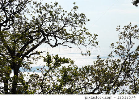 view of Black Sea in twilight, Crimea view of Black Sea in twilight, Crimea 12512574