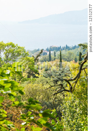 Black Sea coast from Nikitsky Garden, Crimea Black Sea coast from Nikitsky Garden, Crimea 12512577