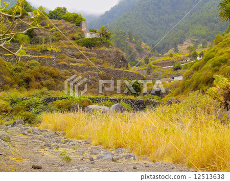 Barranco de las Nieves, La Palma 12513638