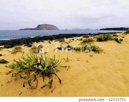 Graciosa Island 12513751