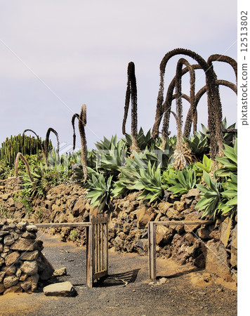 Agricola El Patio Museum, Tiagua, Lanzarote Agricola El Patio Museum, Tiagua, Lanzarote 12513802