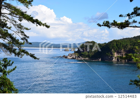 千榻塔搖滾Shimamon 5 12514483