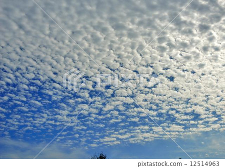 Clouds Clouds 12514963
