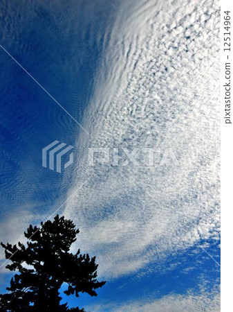 Large sky Large sky 12514964
