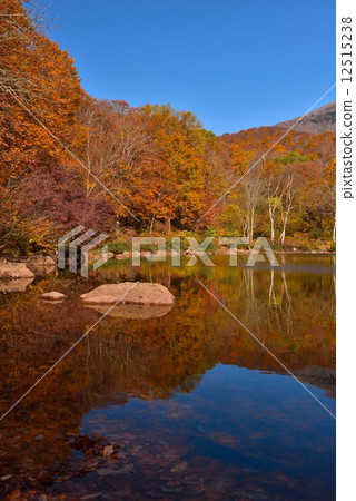 Autumn leaves and Senninpond 12515238