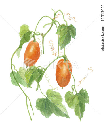 Auspicious Auspicious 12515623