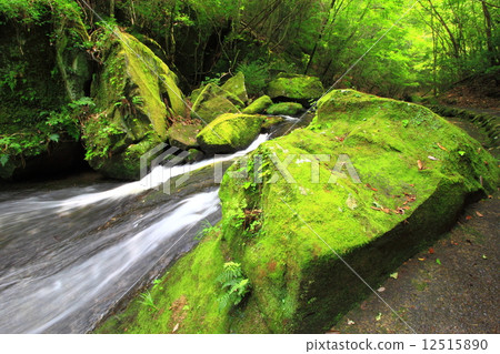 Take mountain valley 12515890