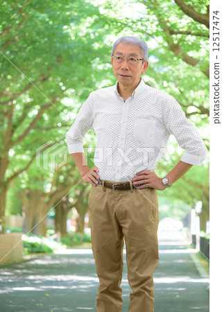 Senior men walking in a fresh green ginkgo tree row Senior men walking in a fresh green ginkgo tree row 12517474