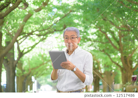 Senior men taking a walk on a fresh green ginkgo tree row while looking at the tablet 12517486