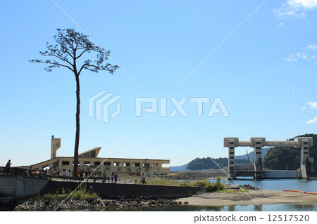 A miracle of a miracle 12517520