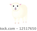 sheep  12517650