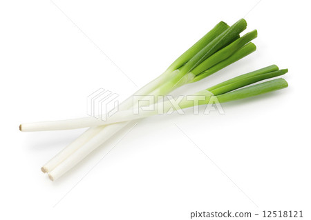 Japanese leek Japanese leek 12518121