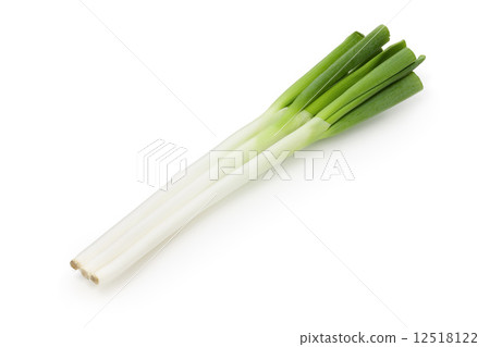 Japanese leek  Japanese leek  12518122