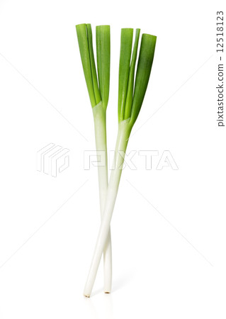 Japanese leek  Japanese leek  12518123